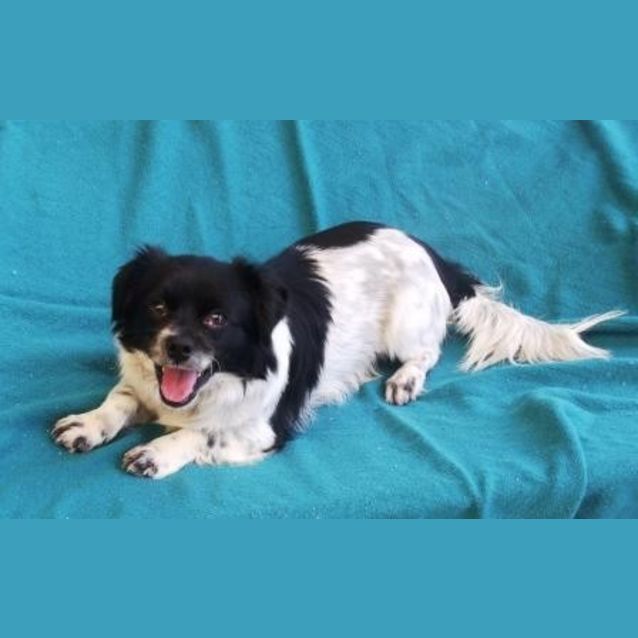 Photo of Lil Bandit