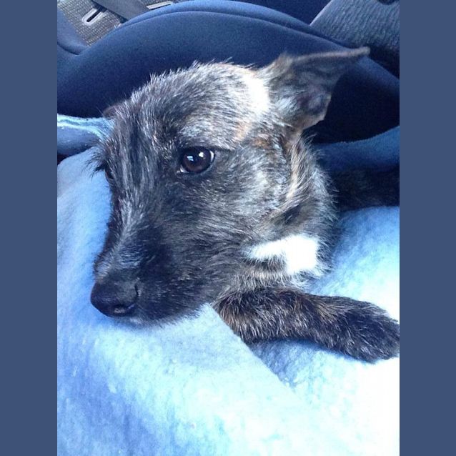 Photo of Xena: Warrior Princess!