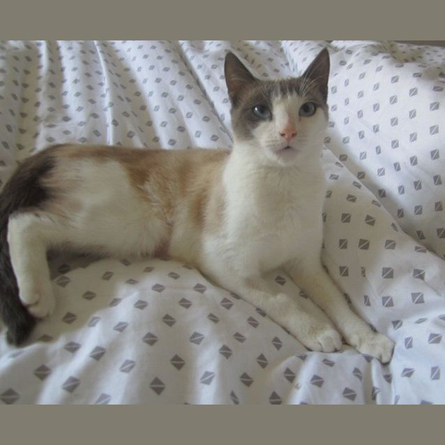 Photo of Jeanie