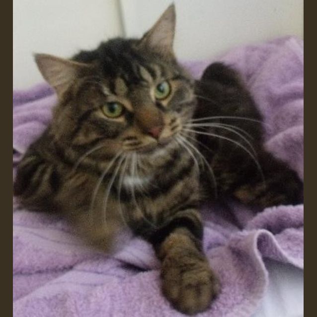 Photo of Spike