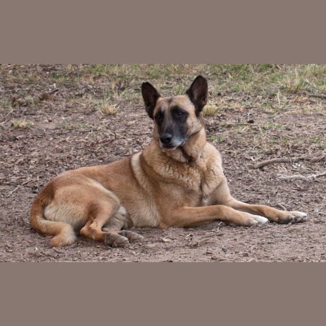 Photo of Nero