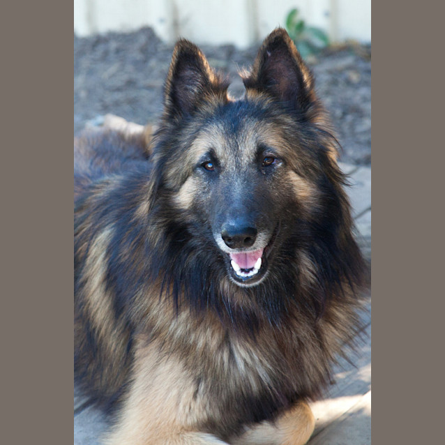 Photo of Gideon