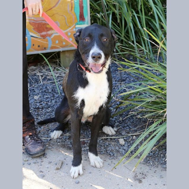 Photo of Wally