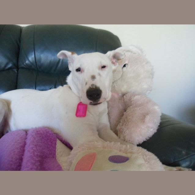 Photo of Mollie