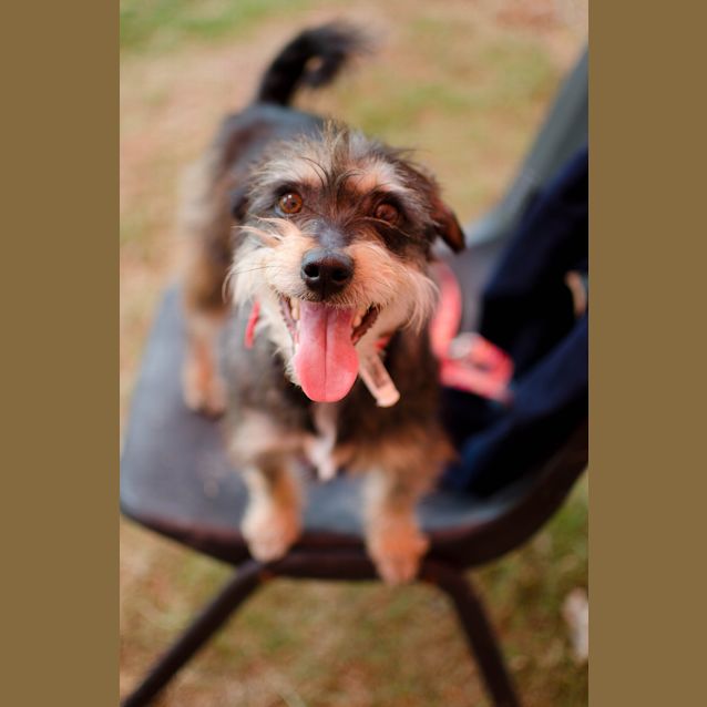 Photo of Heinz