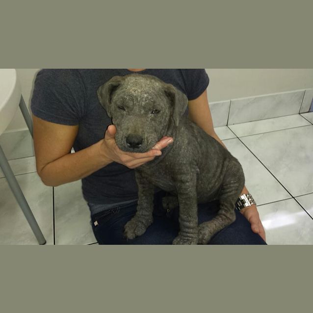 Photo of Skyla