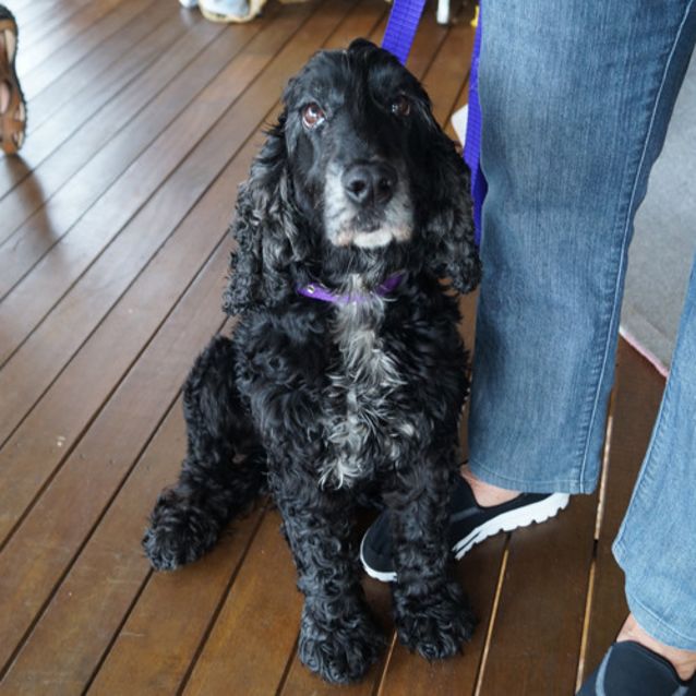 Photo of Harry