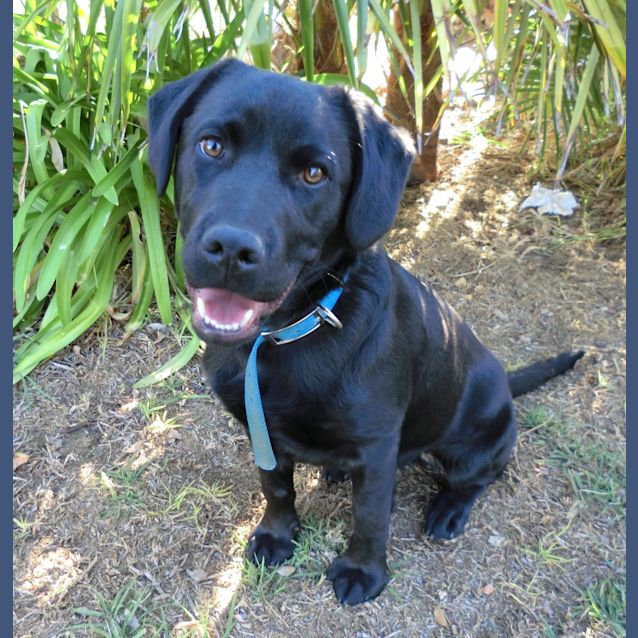 Photo of Ace *On Trial In His New Home*