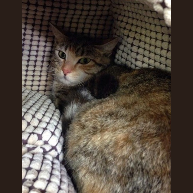 Photo of Heidi
