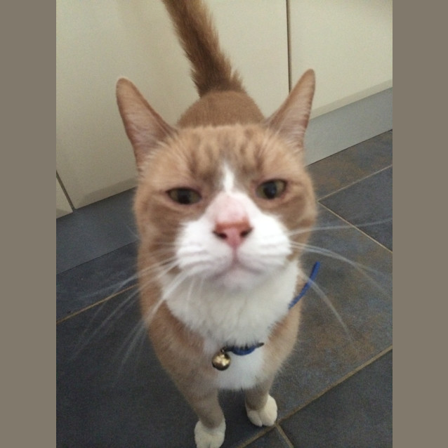 Photo of Mo