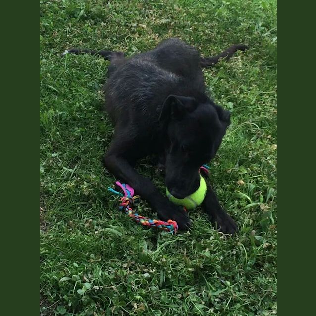 Photo of Miss Scarlett!