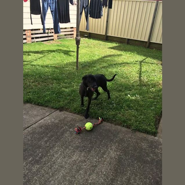 Photo of Miss Scarlett!