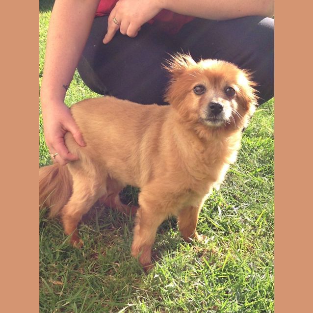 Photo of Sammy