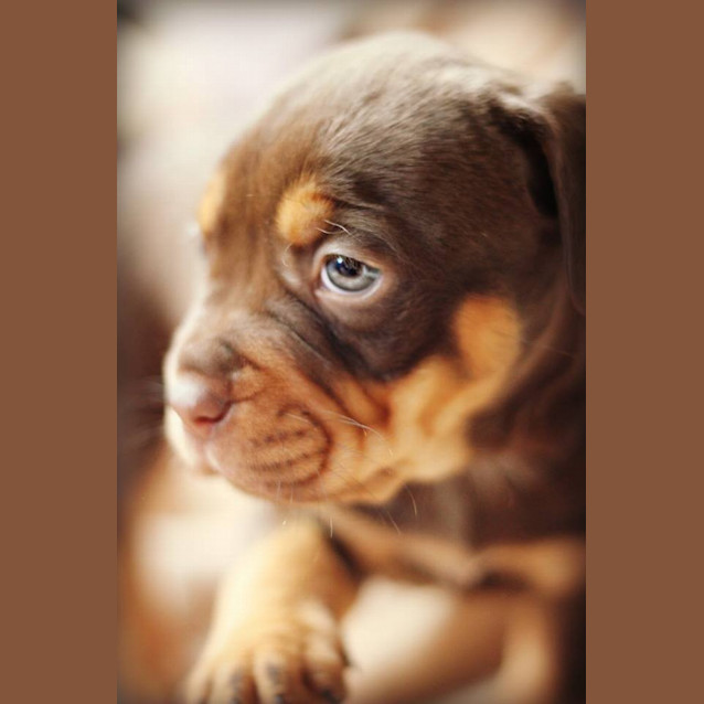Photo of Lexi 