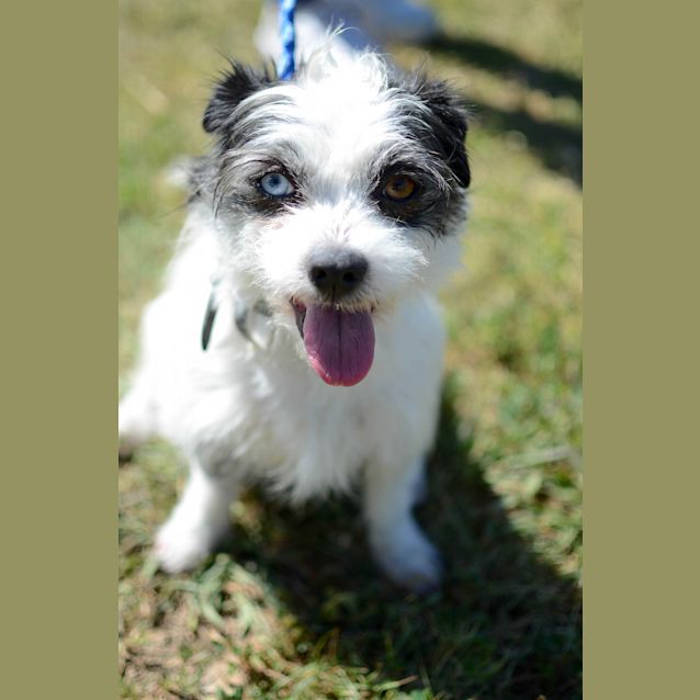 Photo of Rico