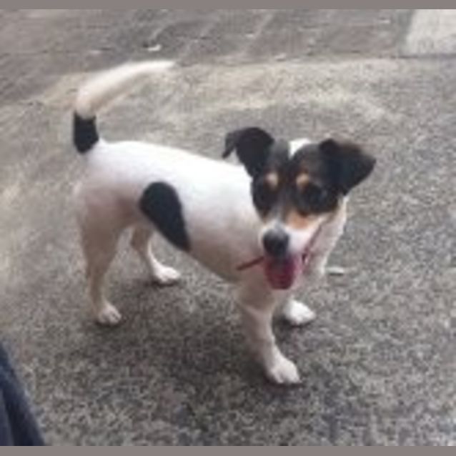Photo of Roxy