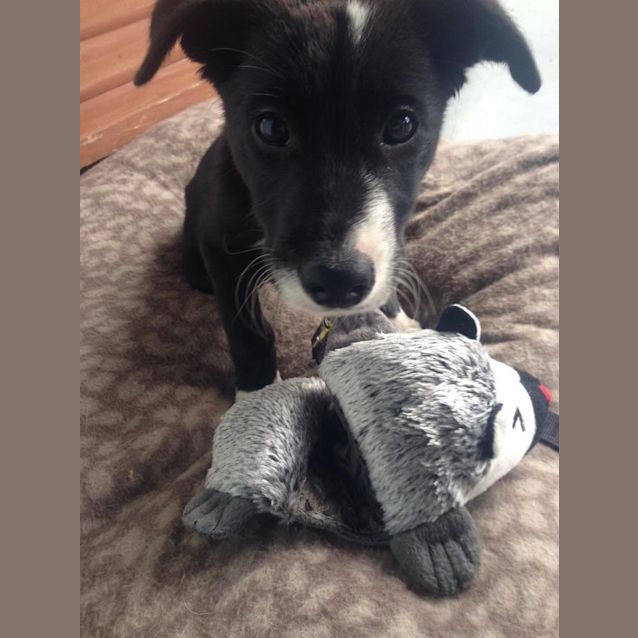 Photo of Arthur