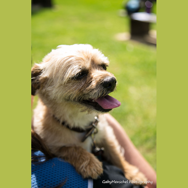 Photo of Bella