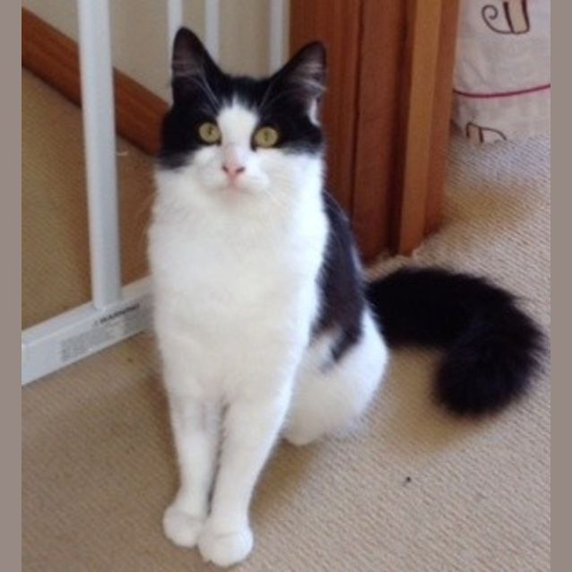 Photo of Molly