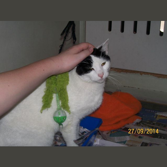 Photo of Gretel