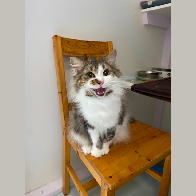 Photo of Princess