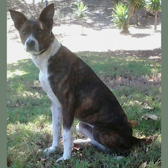 Photo of Ellie 091 6010