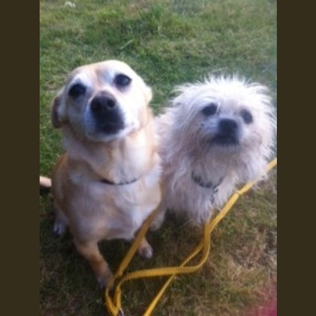 Photo of Zeena And Millie