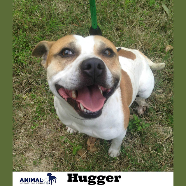 Photo of Rugger