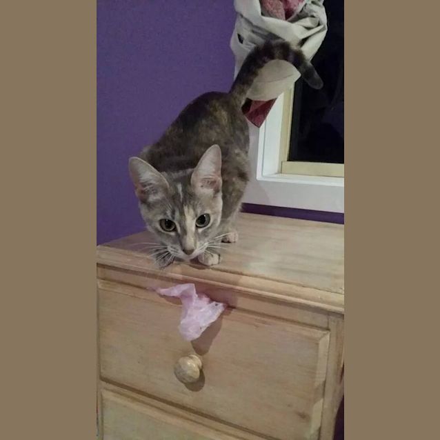 Photo of Shirley