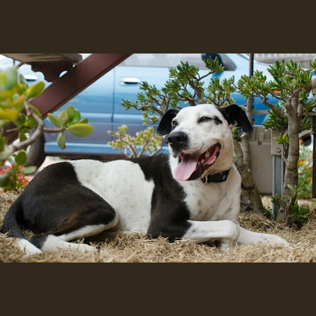 Photo of Morti