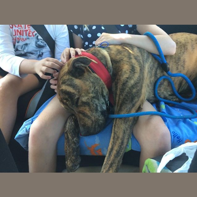 Photo of Ben (On Trial 9/10/14)