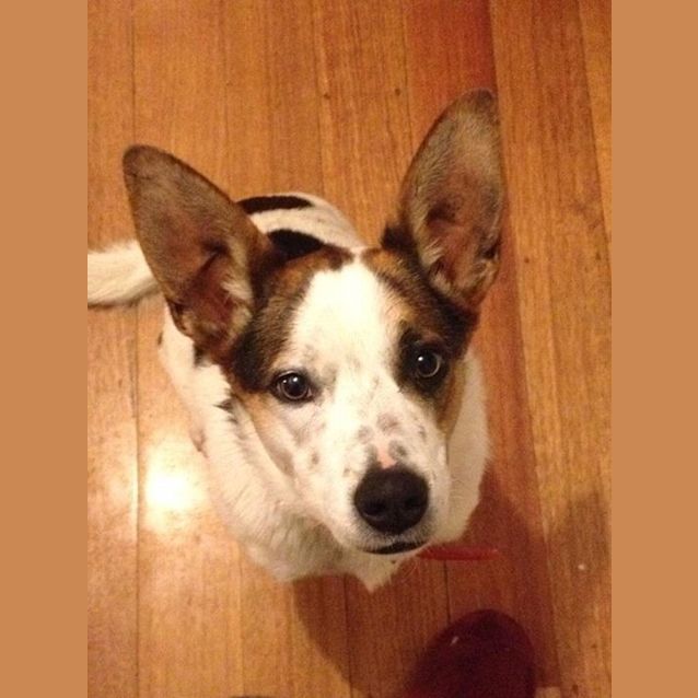Photo of Lucy Lou