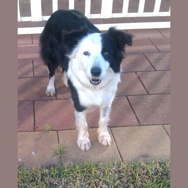 Photo of Charly
