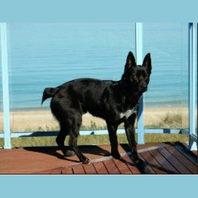 Photo of Teddy