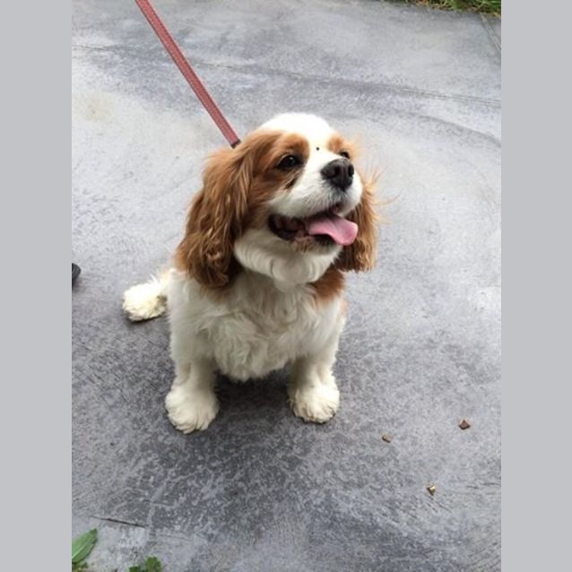 Photo of Eddie *Special Needs*
