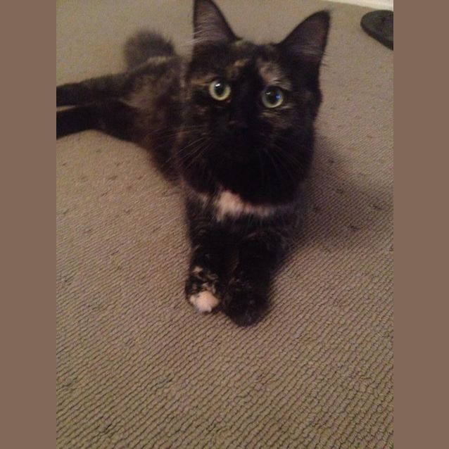 Photo of Scarlett 