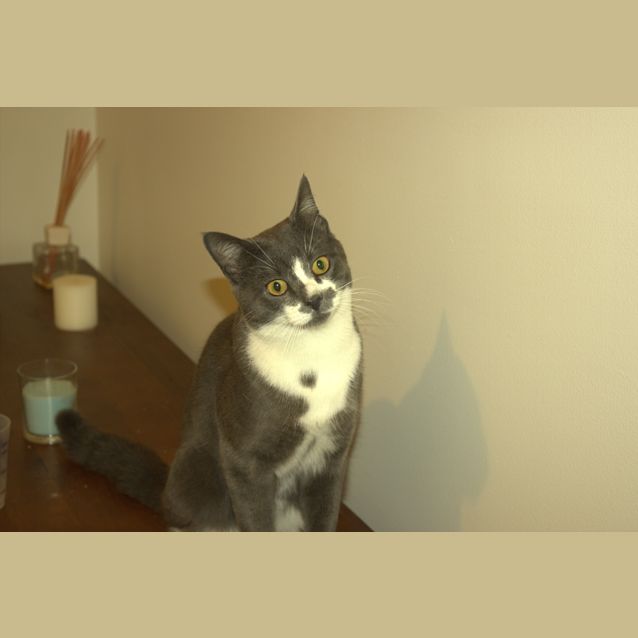 Photo of Marty