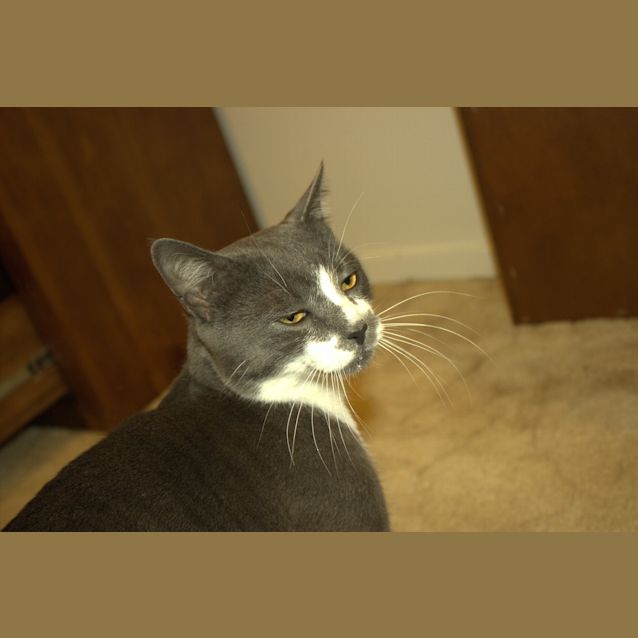 Photo of Marty