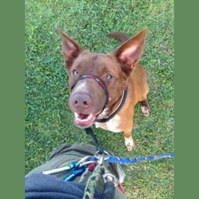 Photo of Kodie