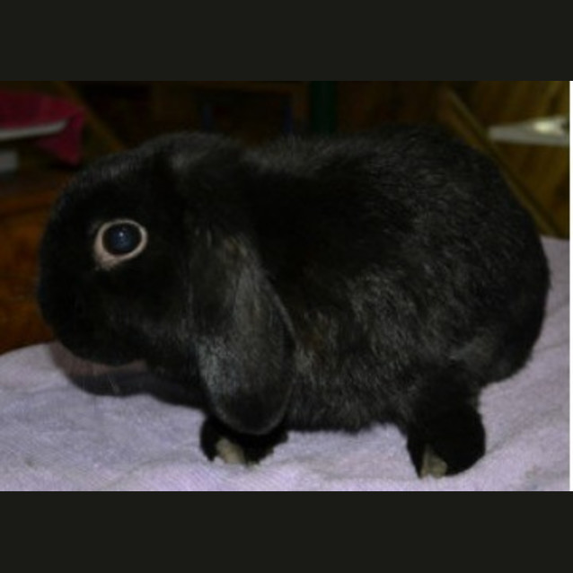 Photo of Wesley