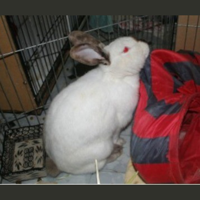 Photo of Eloise