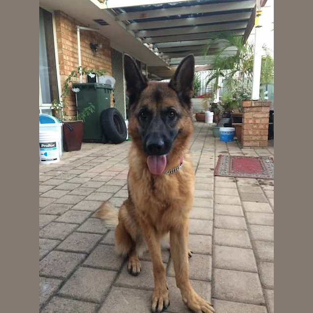 Photo of Zoe Dl489