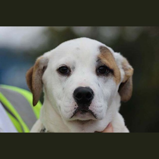 Photo of Lani