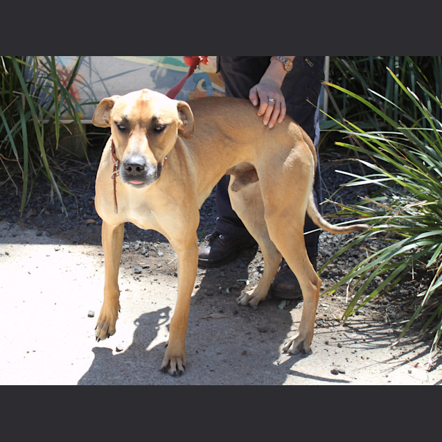 Photo of Duke