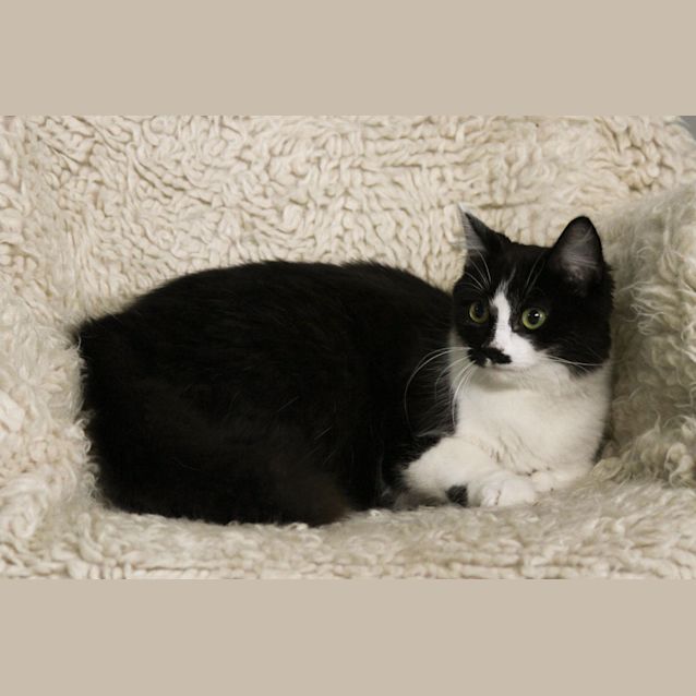 Photo of Pretty Girl