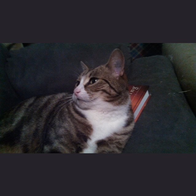 Photo of Mogwai