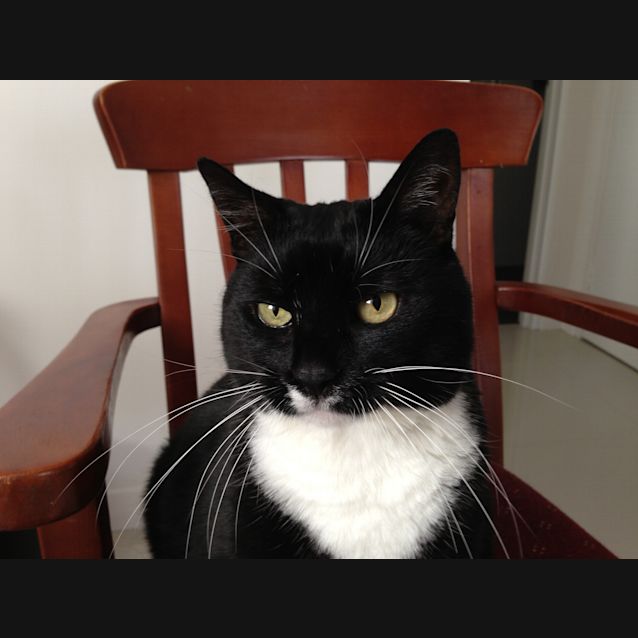 Photo of Michou
