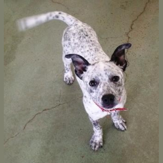 Photo of Wiggles