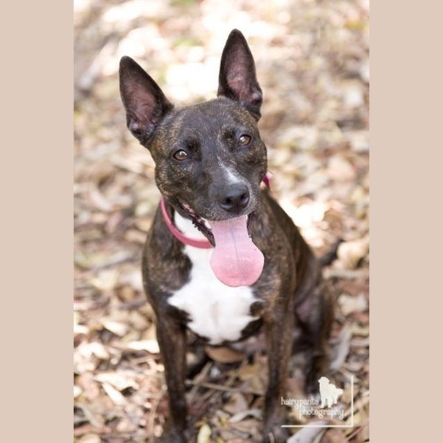 Photo of Roxy