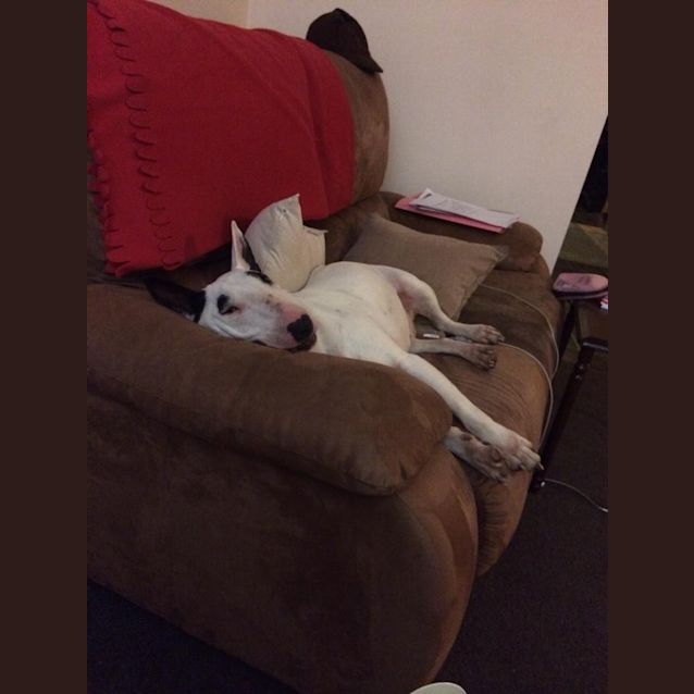 Photo of Yulana (Yuli)